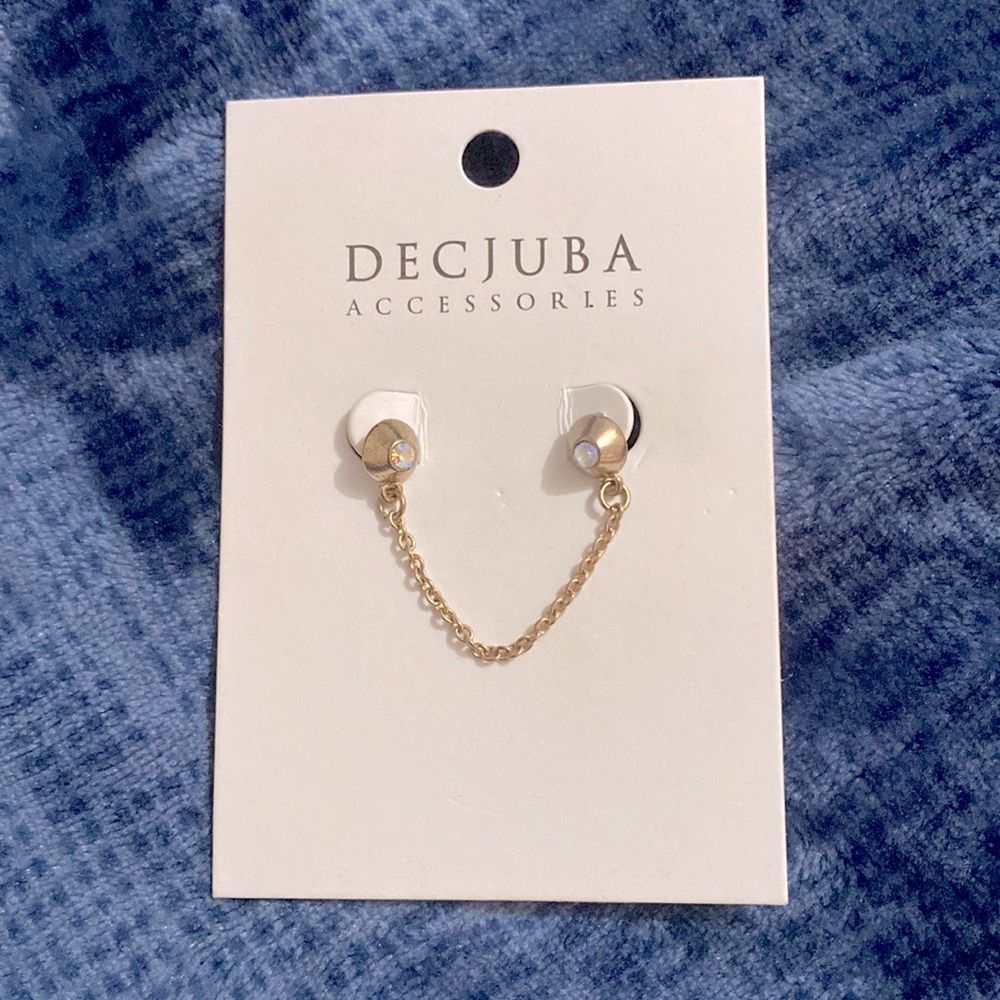 Earring with chain link